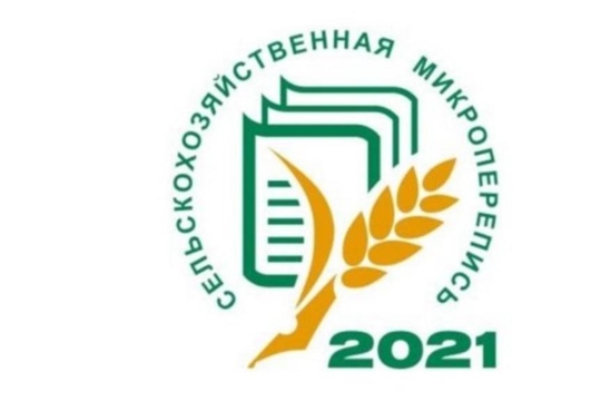 Первая сельхозмикроперепись пройдет в августе 2021 года