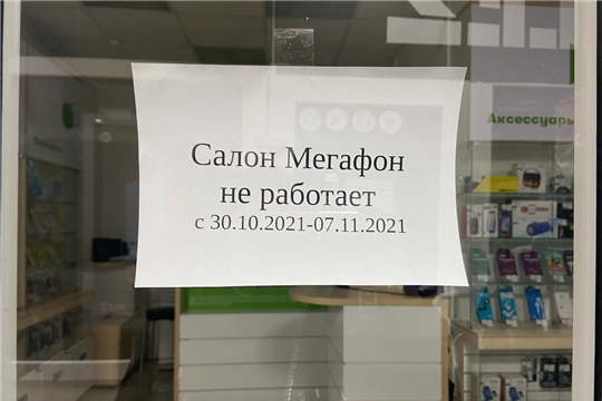 Работа мобильных групп в Алатыре