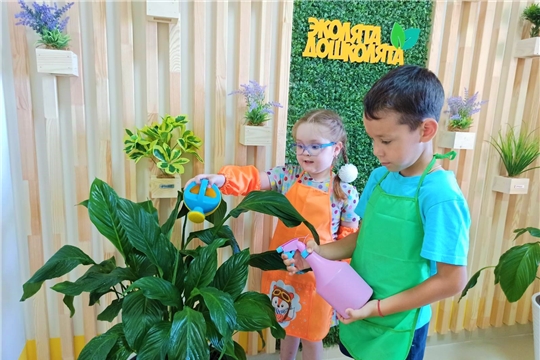 В дошкольных учреждениях  города Чебоксары реализуется проект "Эколята - дошколята"