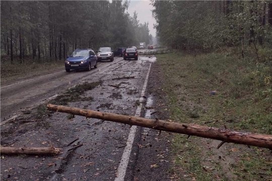 Последствия ливня и шквалистого ветра: подтопленные дороги и поваленные деревья