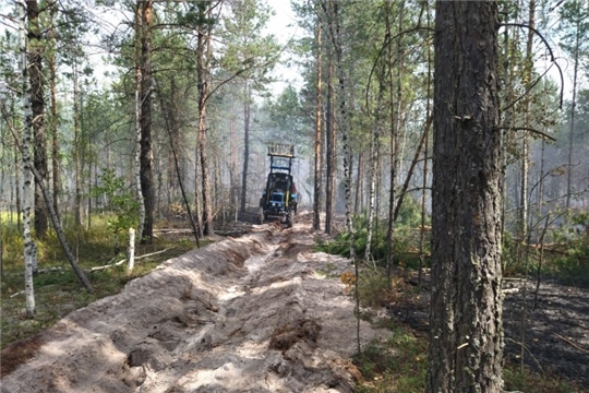 Лесной пожар в заповеднике «Присурский» локализован