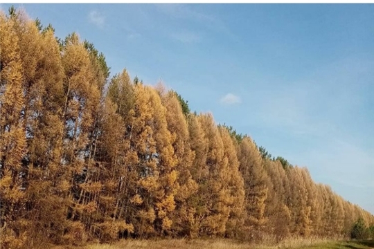 ФОТОАКЦИЯ "ЛИЦОМ К ЛИЦУ С ПРИРОДОЙ"