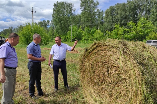 В районе продолжается кормозаготовка