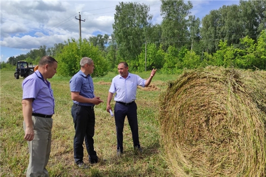 В районе продолжается кормозаготовка