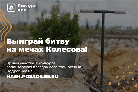 Стартовал осенний конкурс волонтерских посадок леса За организацию лесопосадок можно получить награду