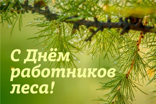 Поздравление главы Комсомольского района - председателя Собрания депутатов района Р.М. Мансурова и главы администрации Комсомольского района А.Н. Осипова с Днём работников леса