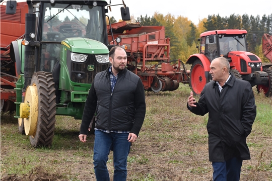 Уборка «второго хлеба» в Агрофирме «Таябинка»