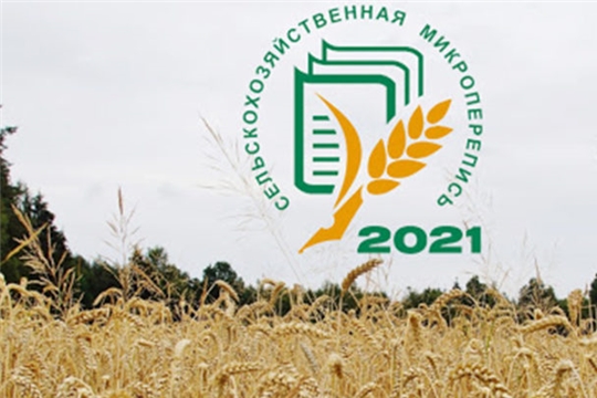 В августе стартует Всероссийская сельскохозяйственная микроперепись