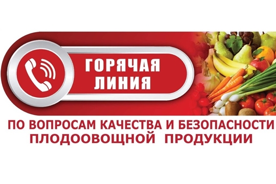 Управление Роспотребнадзора по Чувашской Республике - Чувашии проводит горячую линию по качеству и безопасности плодоовощной продукции