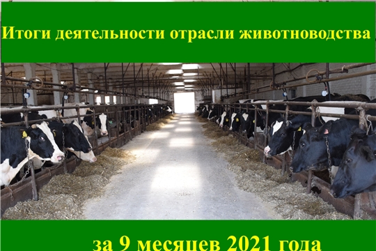 Итоги деятельности отрасли животноводства за 9 месяцев 2021 года