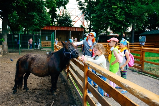 «Однажды в зоопарке...»: в Парке Николаева объявлен конкурс детских рисунков и поделок