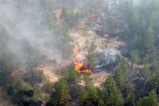 ГКЧС Чувашии: сбережем леса от пожаров!