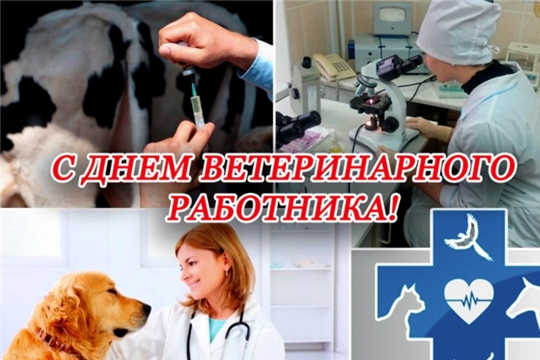 Поздравление с днем ветеринарного работника