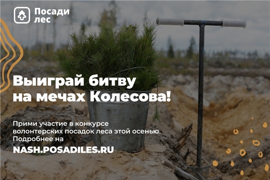 Стартовал осенний конкурс волонтерских посадок леса. За организацию лесопосадок можно получить награду