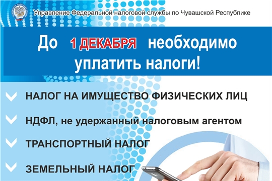 ФНС предупреждает о необходимости уплаты налогов до 1 декабря