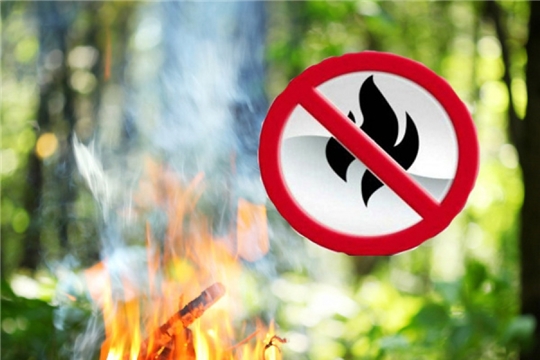Минприроды Чувашии предупреждает об ответственности за нарушение правил пожарной безопасности в лесах