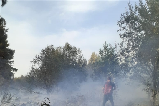 На границе  Урмарского и Козловского районов ликвидировано возгорание