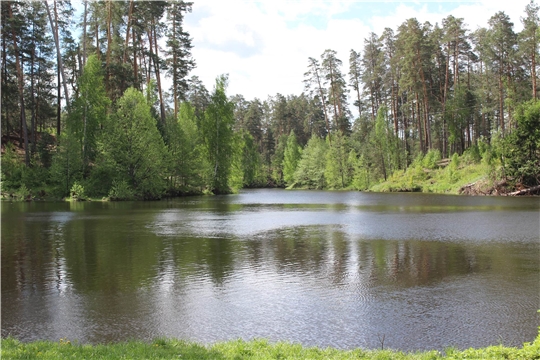 В 2021 году в рамках Всероссийской акции «Вода России» очищено более 360 км берегов и прилегающей акватории водоемов Чувашии