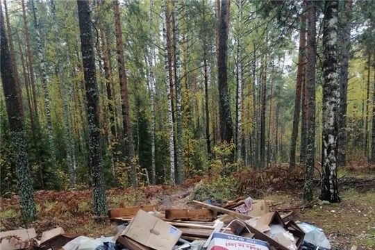 В Ибресинском районе Чувашской Республики выявлена несанкционированная свалка мусора
