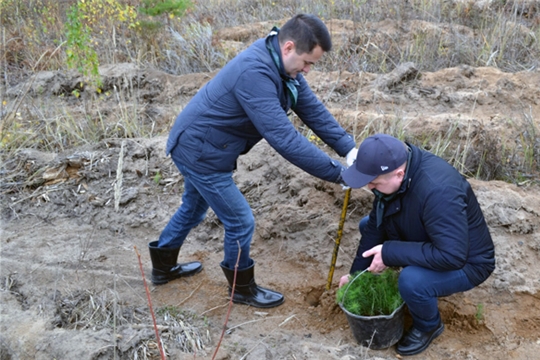 Всероссийская акция «Сохраним лес» объединила всех неравнодушных к заботе об экологии