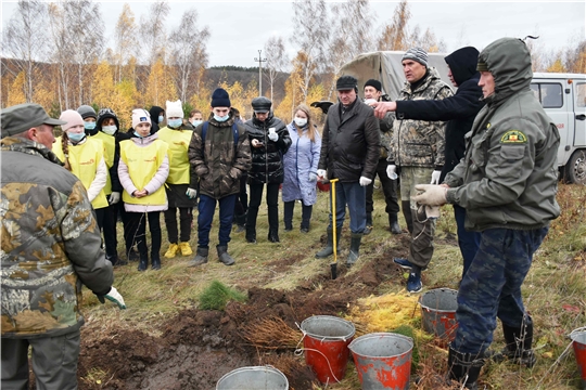 Эмир Бедертдинов: «Лес – это не только наше богатство, но и защита»
