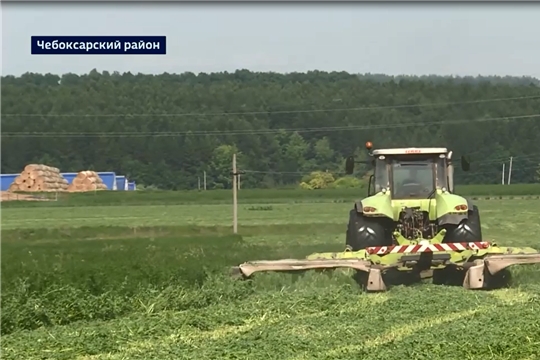 Аграриям Чувашии рекомендуют застраховать сельхозкультуры и животных