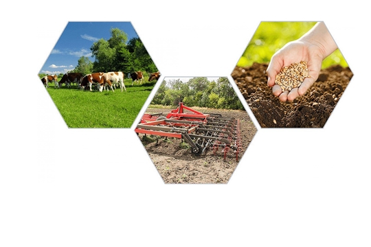 Чувашская Республика занимает 3 место в ПФО по доведению средств господдержки до аграриев