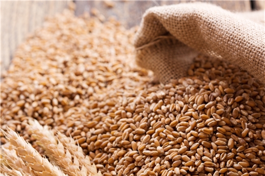 Пошлина на экспорт пшеницы из России с 7 июля составит $41,2 за тонну
