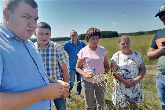 Производители рапса обсудили перспективы возделывания технических культур в республики