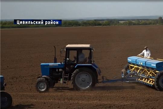 В хозяйствах Чувашии начали сеять озимую пшеницу