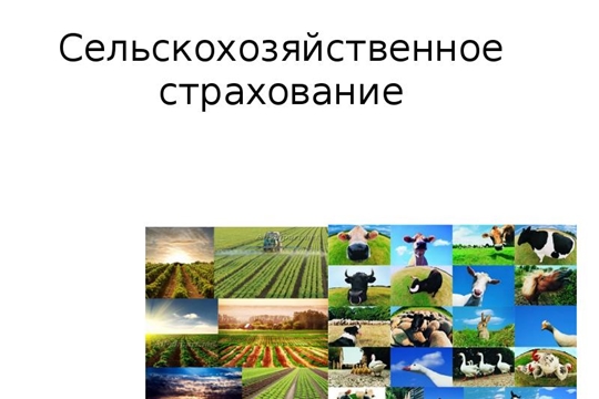 Только надежные компании смогут страховать сельхозриски на условиях субсидирования при ЧС