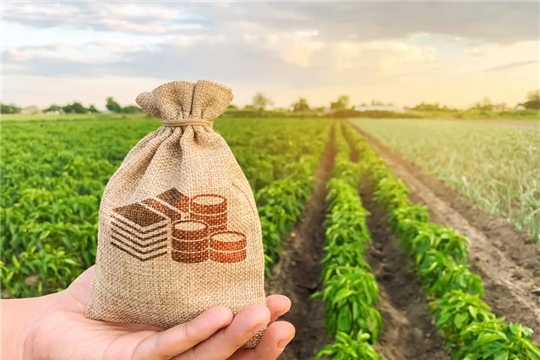 На поддержку сельхозтоваропроизводителей Чувашии перечислено 1,9 млрд. рублей