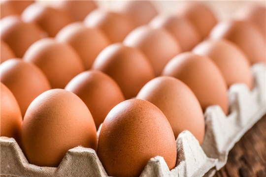 Строительство племрепродуктора по производству инкубационного яйца позволит обеспечить потребность птицефабрик регионов