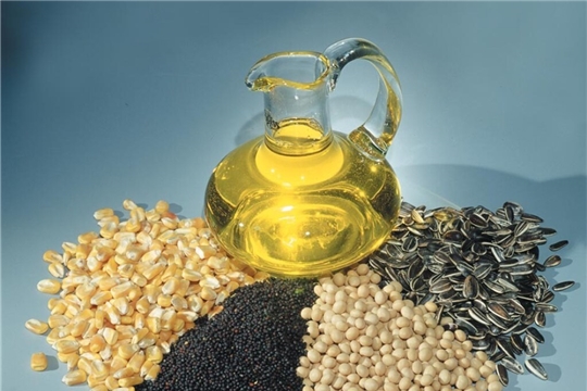 Минсельхоз Чувашии предоставляет субсидии на стимулирование увеличения производства масличных культур