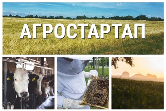 В 2021 году Минсельхозом Чувашии предоставлено 14 грантов «Агростартап» на общую сумму 50,9 млн. рублей