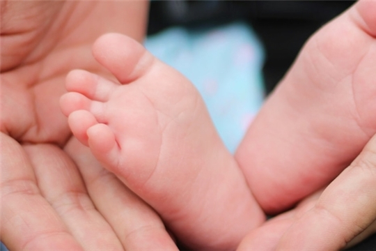 В августе 2021 года  выплату в связи с рождением первого  ребенка получили более 8 тыс. семей