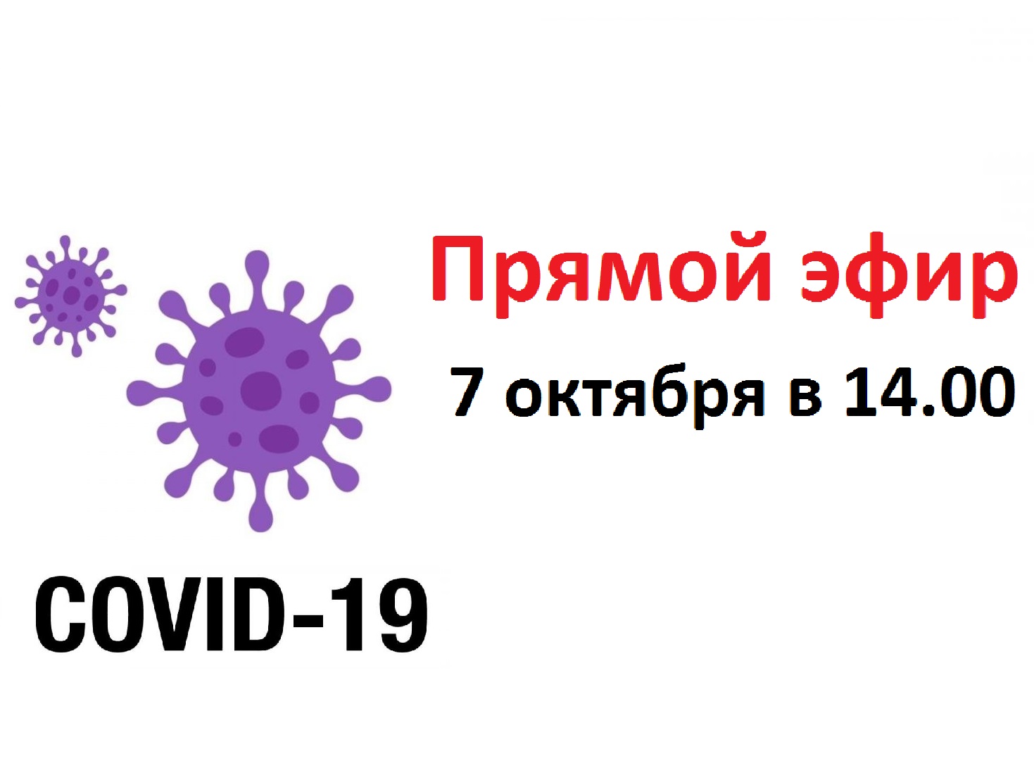 Ответы на ваши вопросы по профилактике коронавирусной инфекции - в «Прямом  эфире» | Моргаушский муниципальный округ Чувашской Республики