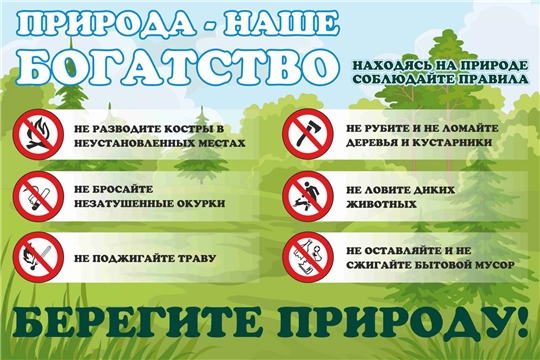 В заволжских лесах сохраняется высокая пожарная опасность: соблюдайте элементарные правила