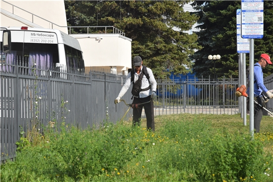 В Чебоксарах проходит третий этап покоса травы