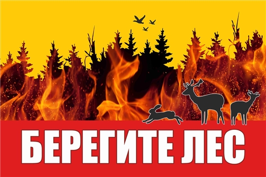 Берегите лес, соблюдайте элементарные правила пребывания на природе
