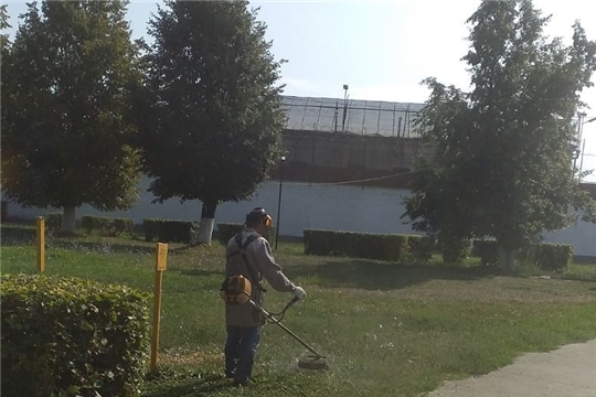 В Чебоксарах продолжается четвертый этап покоса травы