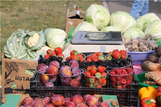 Ярмарки выходного дня развернут свою продукцию на трех основных площадках г. Чебоксары