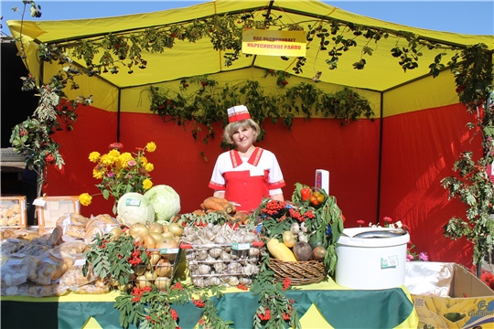 Месячник по реализации сельскохозяйственной продукции «Дары осени» приглашает горожан за покупками в эти выходные