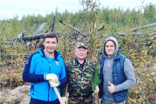 В Заволжье прошла экологическая акция «Сохраним лес»