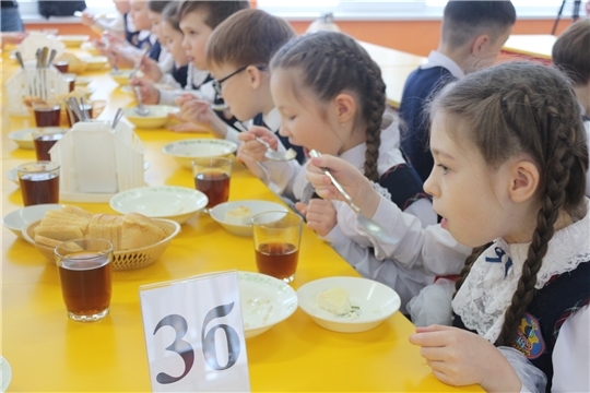 В чебоксарских школах идет модернизация пищеблоков, «Чебоксарские новости»