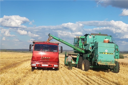 В Порецком районе намолочено первые 10 тыс.тонн зерна урожая 2021 года