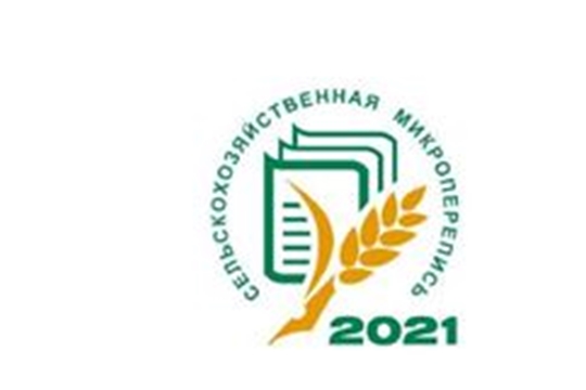 Первая сельхозмикроперепись пройдет в августе 2021 года