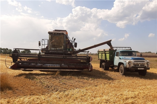 Уборка урожая зерновых культур в Шемуршинском районе