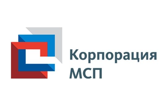 «Предпринимательский час» по мерам поддержки АО «Корпорация «МСП» субъектов МСП в медицинской сфере
