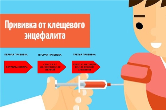 Октябрь – время вакцинации против клещевого энцефалита